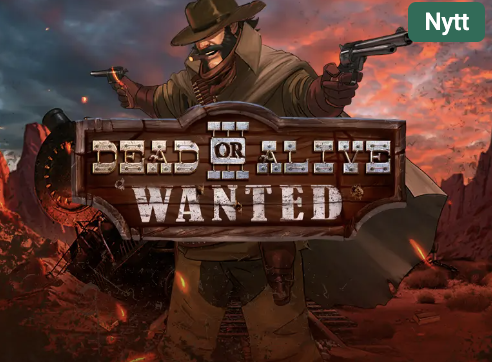 Dead or Alive 3: Wanted